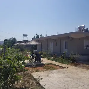 Rey Garden , Vlorë Albania